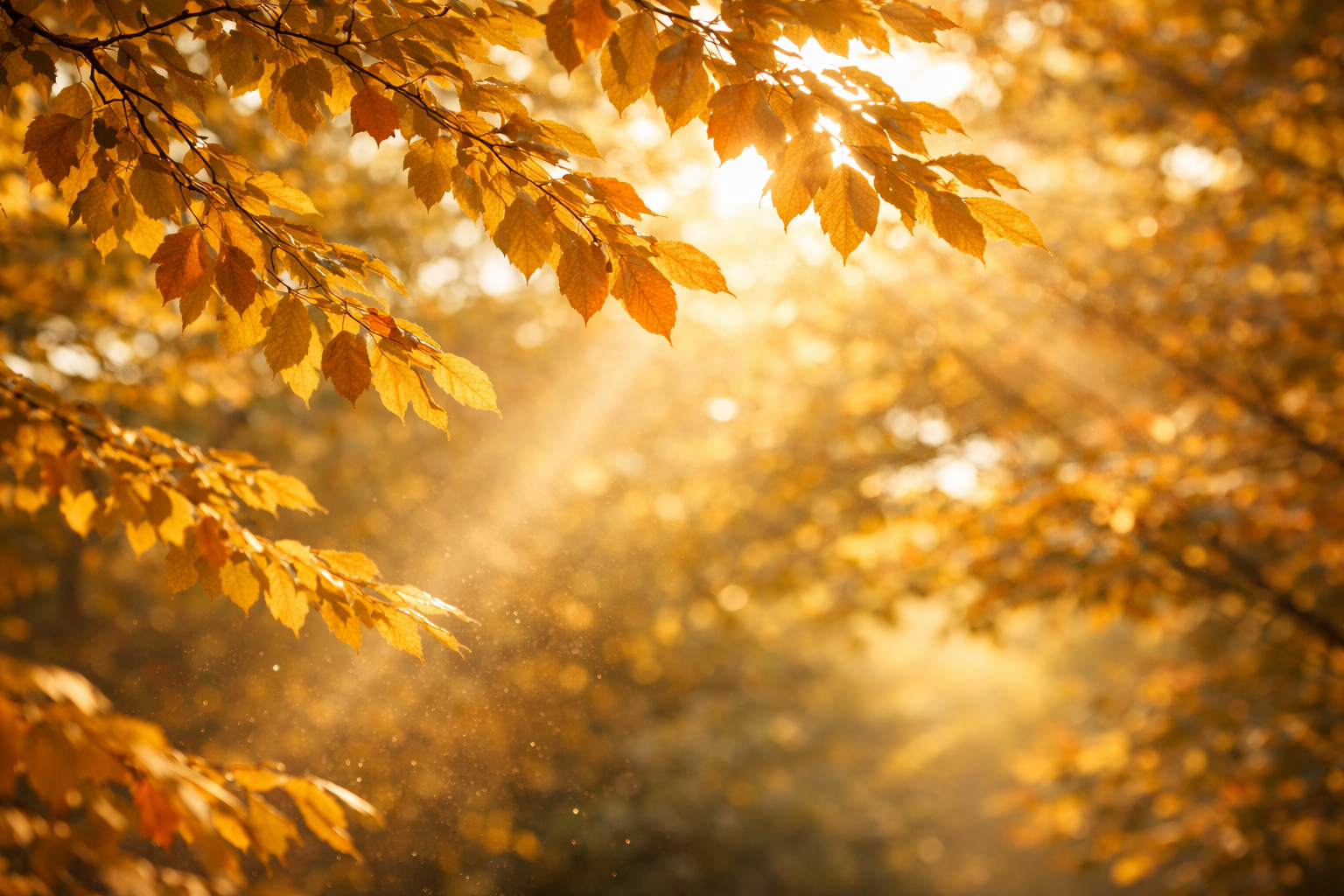 Worshiping in Spirit